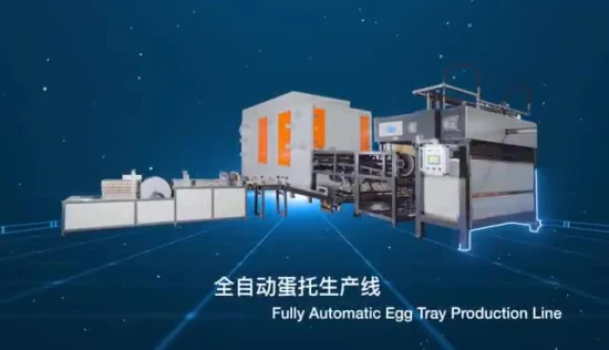 건조 기능 계란 트레이 가격 성형 펄프 상자 기계 고품질 자동